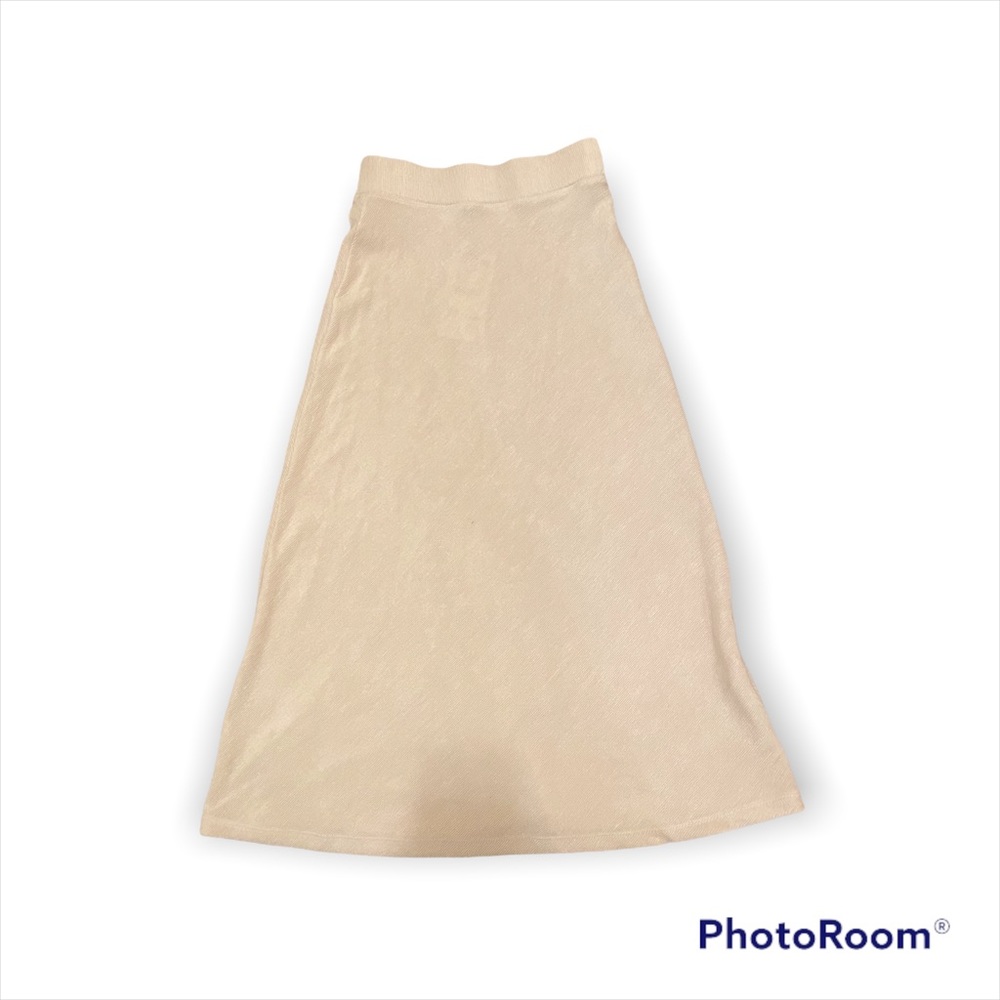 Zara maxi skirt